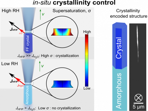 Scheme: 3D printing process of polarization-encoded 3D micro-pixels
 